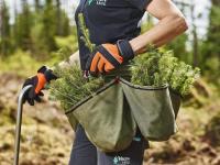 Tørke i marka og skogplanting