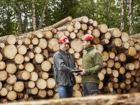 Viken Skog søker skogbruksleder på Ringerike