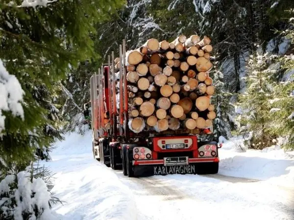 Vi ønsker oss en kollega som kan bidra med å løse komplekse og spennende transport- og logistikkoppgaver i datterselskapet vårt Viken Logistikk.