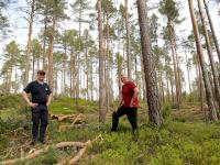 Lukket hogst hos Svend-Erik i Aremark