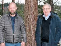 Skogplanter Østnorge AS vant stort planteanbud