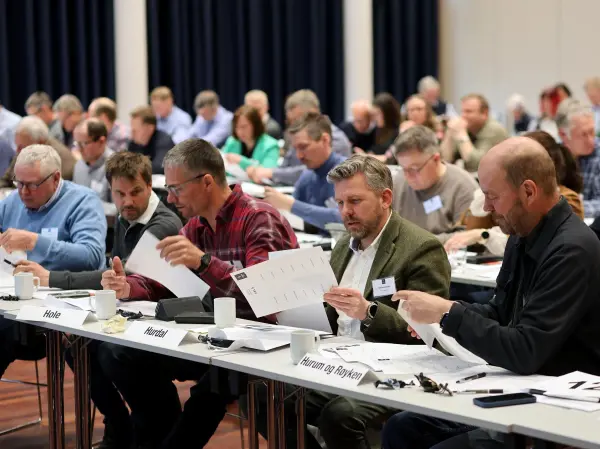 Valgkomiteen i Viken Skog er på jakt etter kandidater til ulike verv som tillitsvalgt, først og fremst i styret. Har du lyst til å være med og bestemme eller har du tips om noen?