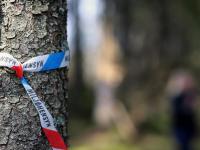 Kampen om fakta om skogen