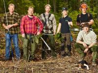 Hva skjedde med at det ikke ble noe av skogen i år?