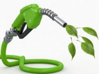 Styrker grunnlaget for milliardinvesteringer i biodrivstoffindustri