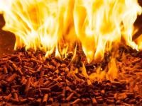 Regjeringen kritiseres for dårlig satsing på bioenergi