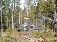 Viken Skog tester ut skogsmaskiner med biodrivstoff