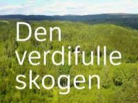 Den verdifulle skogen