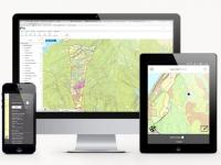 Viken Skog søker Skog- og GIS-konsulent