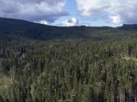 Viken Skog skal taksere mer enn 900 skogeiendommer i Follo og Enebakk