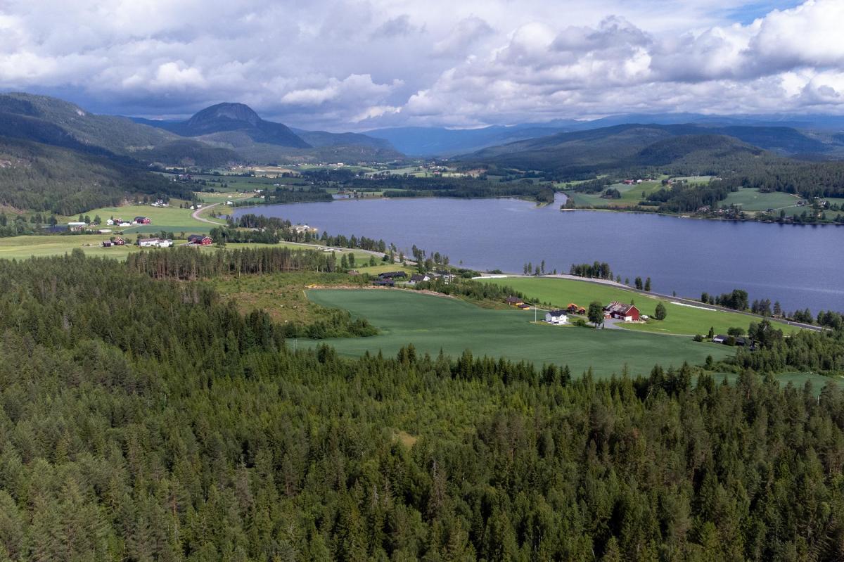 Dronefoto fra vestsiden av innsjøen Soneren i Sigdal kommune