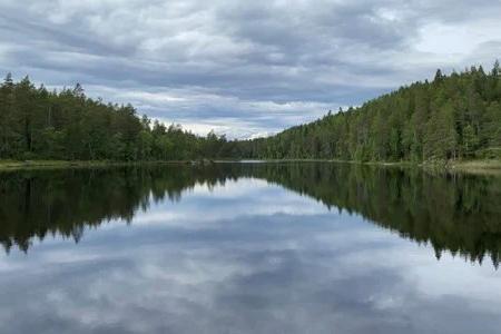 Eriksvann i Østmarka. Foto: Klima- og miljødepartementet