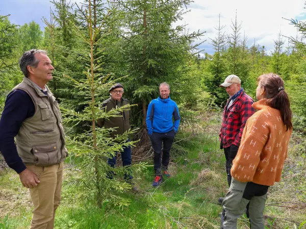 Hva skal til for å få flere til å gjennomføre ungskogpleie? Det spørsmålet stiller Elisabeth Goverud seg. – Tilskudd fra kommunen og bruk av skogfond er tydeligvis ikke nok til å øke ungskogpleieaktiviteten like sterkt som behovet er, konkluderer hun.