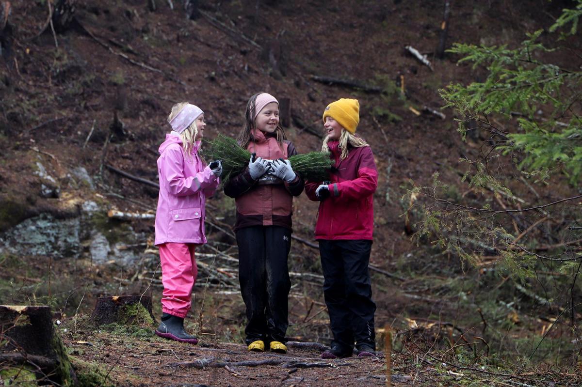 Emilie, Cecilie-Karoline og Isa har lært hvordan og hvorfor man planter ny skog.
