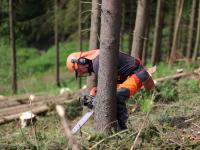 Skogeiere: Husk å ta nytt PEFC-kurs
