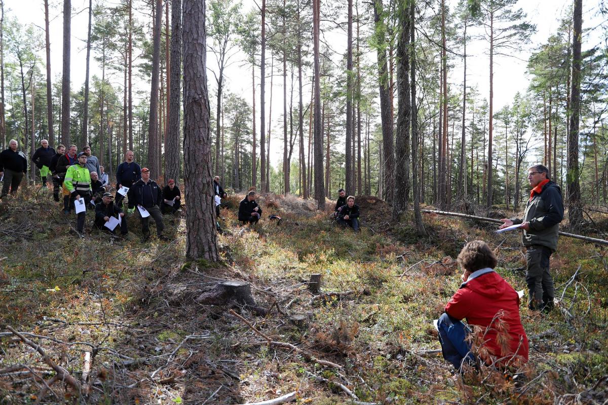 Entreprenørsamling Emmerstad