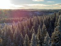 Stangeskovene har valgt DinSkog