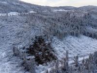 Skadeoversikt etter stormen 19. november 2021 og stormene i januar - februar 2022