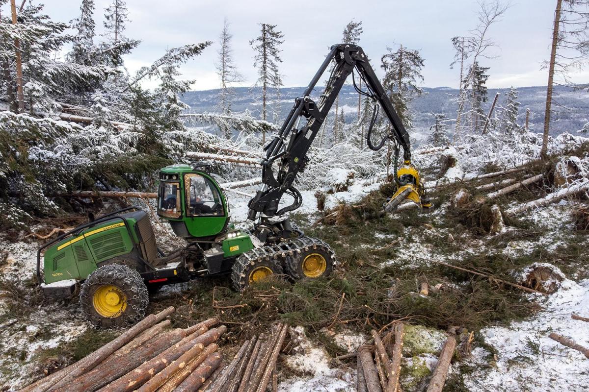 Per Ivar Søndrol i Skogdrift AS jobber med å rydde stormfellinger i Etnedal.