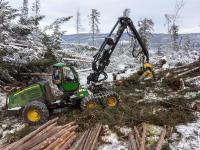 Stormen tok mer enn 1,5 millioner kubikkmeter med skog