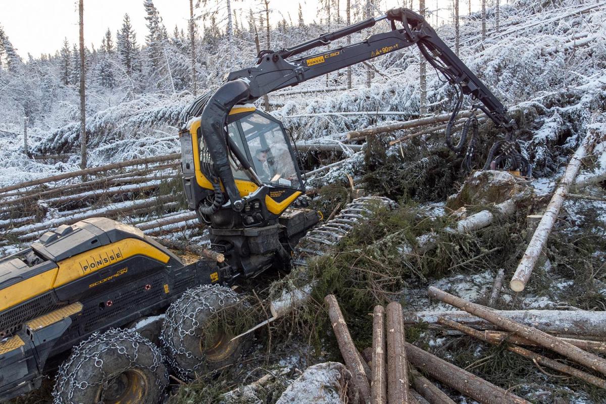 Hogstmaskin, Ørjan Hagen, Struksnæs Skog