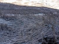 Se dronebilder av stormskadene