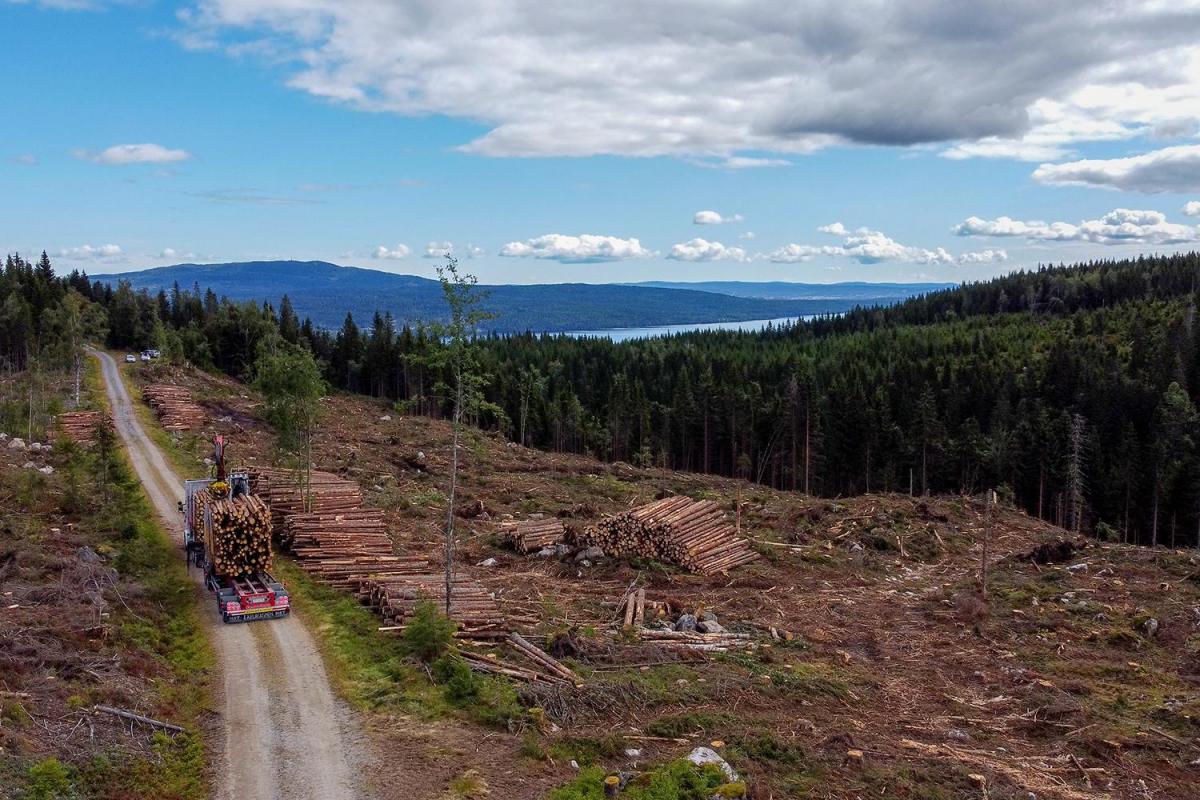 Tømmerbilsjåfør Even Tømte henter tømmer i skogen til Mathiesen Eidsvold Værk i Hurdal