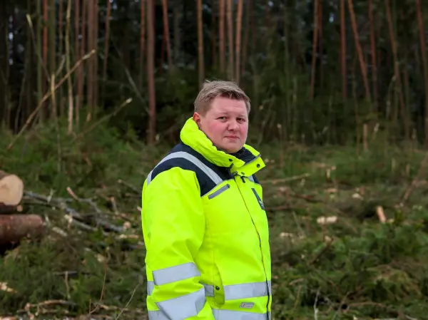 Etter all sannsynlighet var en melding om et hønsehaukreir fake news. – I så fall er det et forsøk på sabotasje av en lovlig skogsdrift, sier Svein Dypsund.