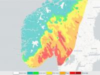 Økt skogbrannfare - ta forholdsregler