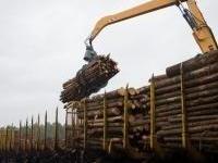 Behov for en mer effektiv tømmertransport