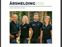 Solid årsresultat for Viken Skog-konsernet i 2018