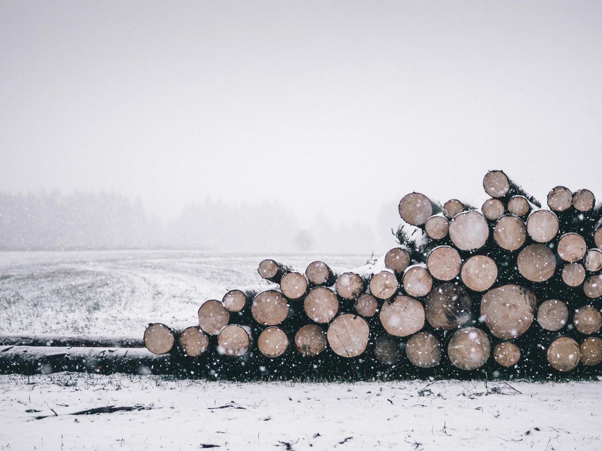 Tømmervelte i vinterlandskap