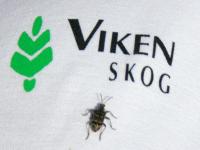 Nå flyr barkbillene igjen