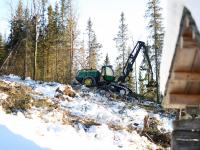 Ennå ikke ferdig med vindfallhogst i Valdres