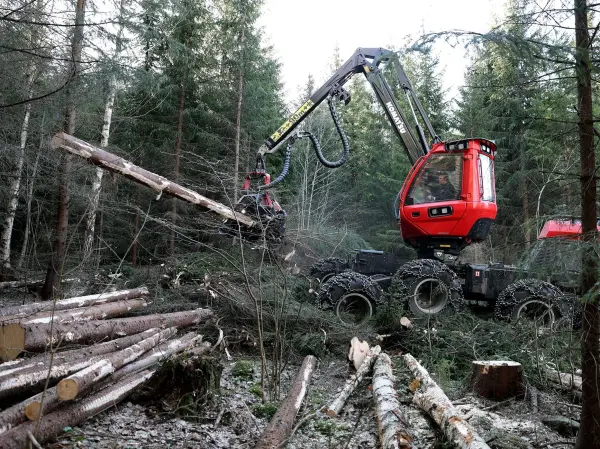 Viken Skog er i gang med en hogst ved Manaskardet i Hole kommune. En blåmerket sti krysses i forbindelse med hogsten, og vi vil derfor minne turgåere om å holde god avstand til skogsmaskinene.