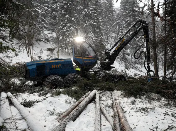 Viken Skog tilbyr skogeierne et helårsdriftstillegg på 50 kroner på alle sortimenter. Med helårsdrift er det særdeles viktig at skogsbilveien er kjørbar uansett årstid.