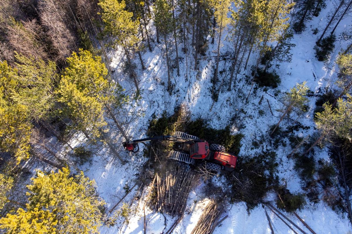 Hogstmaskin, dronebilde