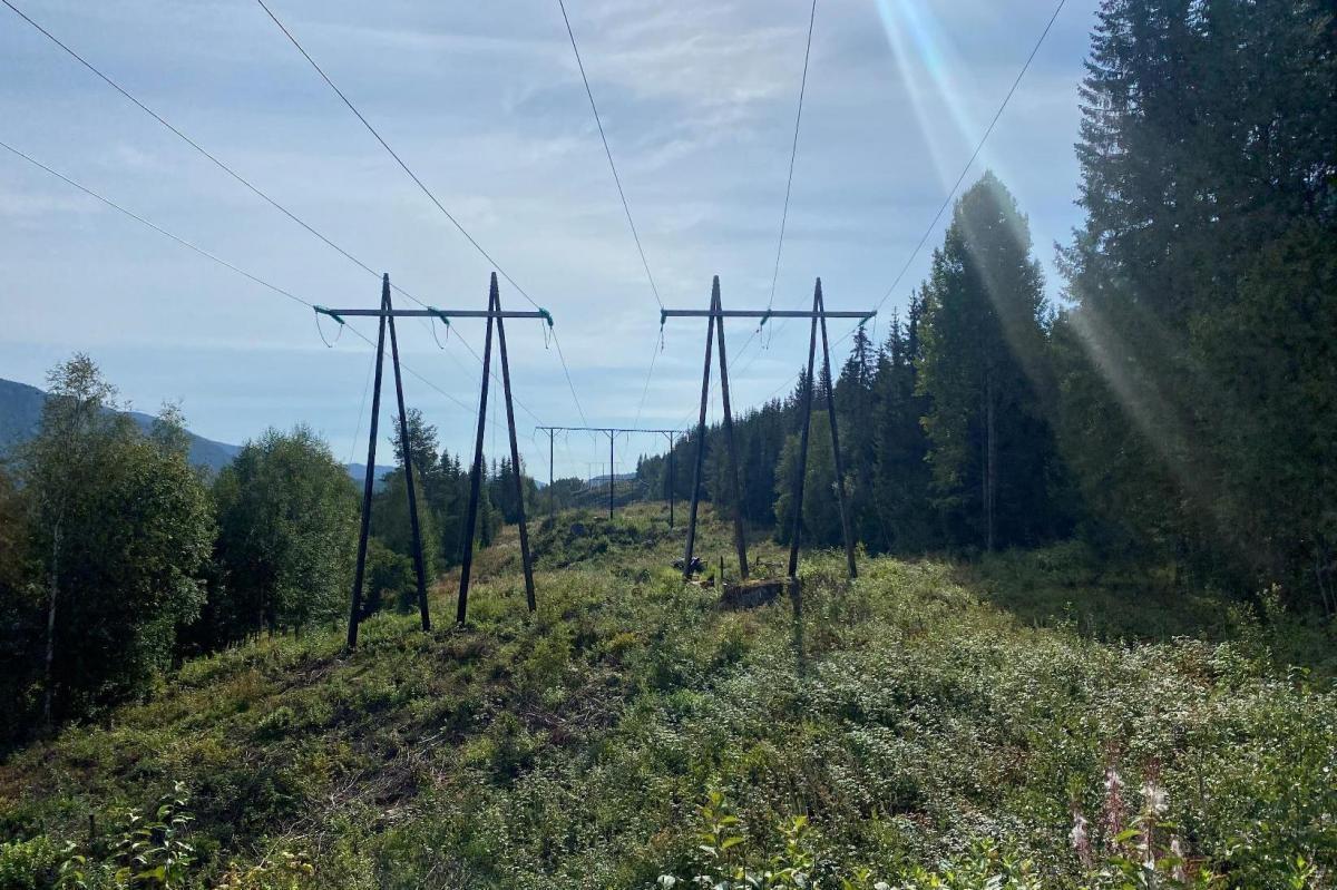 VARSLES LOVENDRING: Kraftledningen mellom Åbjøra kraftverk i Nord-Aurdal og Gjøvik må fornyes, noe som kan få store konsekvenser for flere skogeiere. (Foto fra Elvias forslag til utredningsprogram)