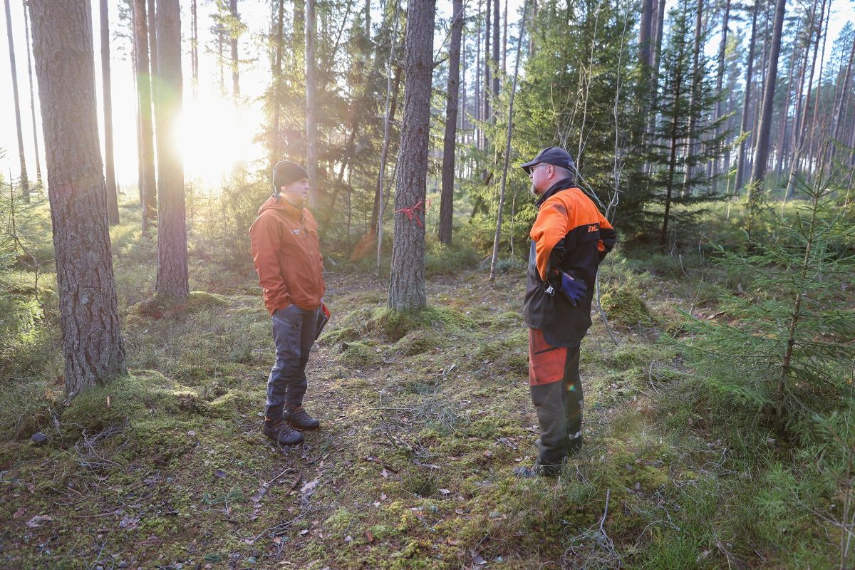 Skogbruksleder Martin Tangen (til venstre) traff på skogeier Håkon Lindstad i forbindelse med tømmerdriften på Hvervenmoen.