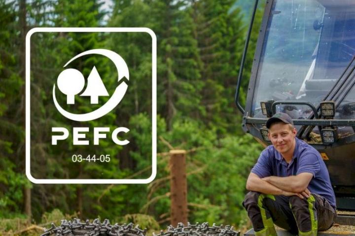 Her er kurset du trenger om nye PEFC Skogstandard