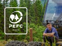 Her er kurset du trenger om nye PEFC Skogstandard