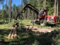 Viken Skog blir største eier i Johansen Skogsdrift