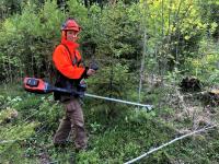 Ungskogpleie, -enkelt, logisk og lønnsomt