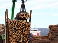 Nærmere tømmereksport på ammoniakkdrevne skip
