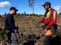 Leiv Inge (33) driver egentlig med transport. Nå hjelper han til med planting av trær. (Se video)
