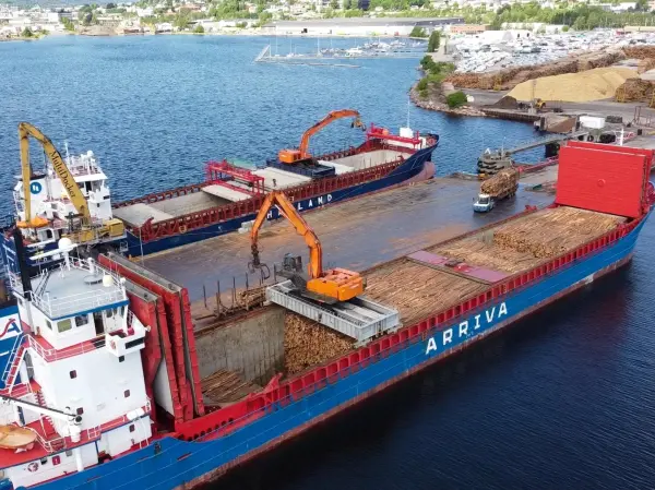 Avvikling av ordningen med statlig tilskudd til tømmerkaier vil være svært uheldig for arbeidet med å finne en permanent løsning for Norges desidert største havneterminal for tømmer.