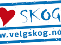 Velg Skog hjelper skognæringen med friske krefter og kloke hoder