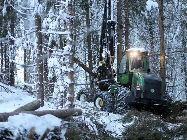 Også i år tilbyr Viken Skog et kontraheringstillegg på 20 kroner på alle sortimenter. Tillegget gjelder for nye avtaler som inngås før 1. april og for hogstoppdrag for andelseiere i april, mai og juni.