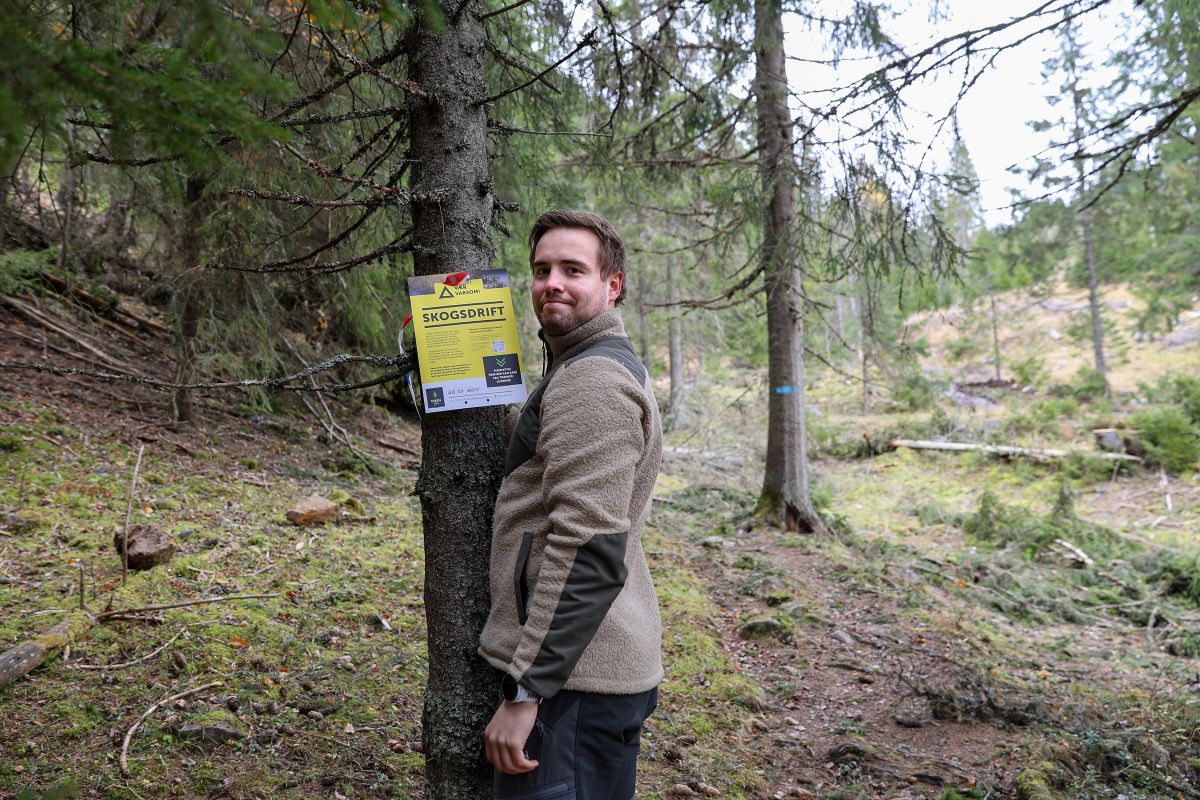 Vladislav Skorobogatyi henger opp varsom-skilt i Søtbakkdalen i Jevnaker