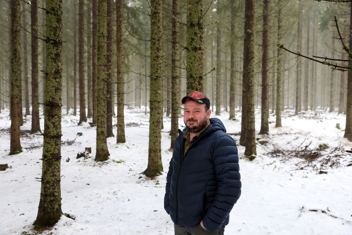 Ole Mathias Fjeldskogen i skog som ble tynnet for 5-6 år siden